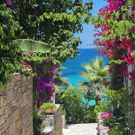 Porto Zante And 5*