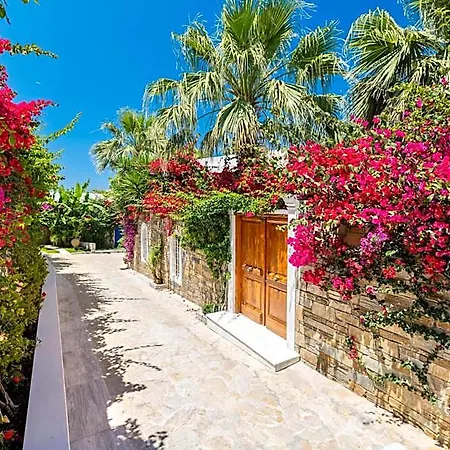 Porto Zante And Resort 5*