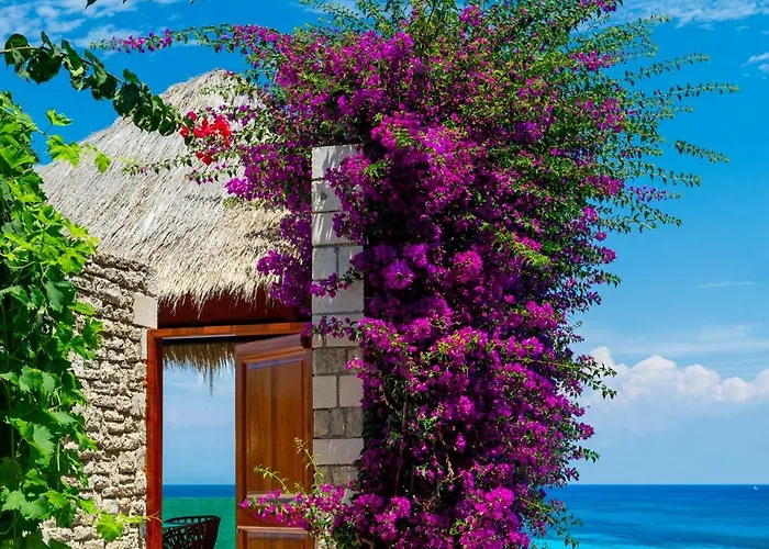 Resort Porto Zante And