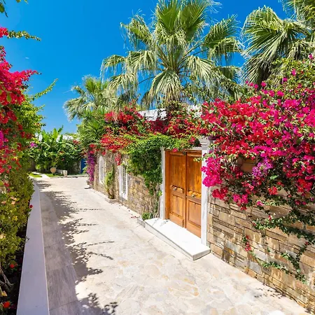 Porto Zante And 5*