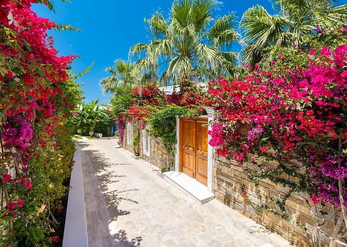 Porto Zante And 5*