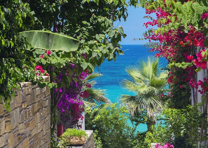Porto Zante And 5*